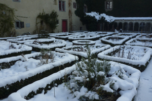 Herb Garden