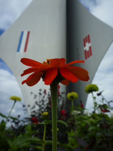 Basel Border