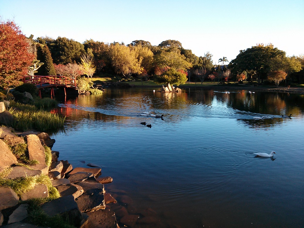 Japanese Gardens