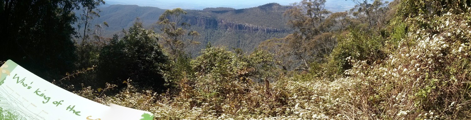 Goomburra State Forest