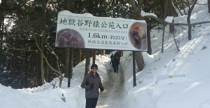 snow monkey sign