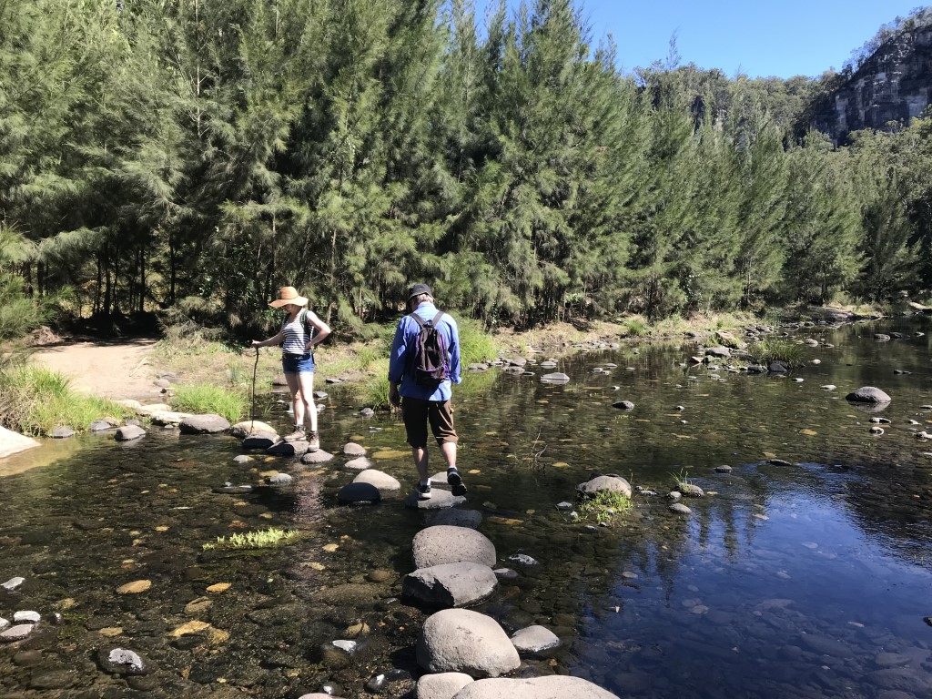 Carnarvon Gorge - Lower Gorge