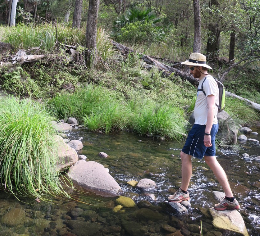 Carnarvon Gorge - Upper Gorge