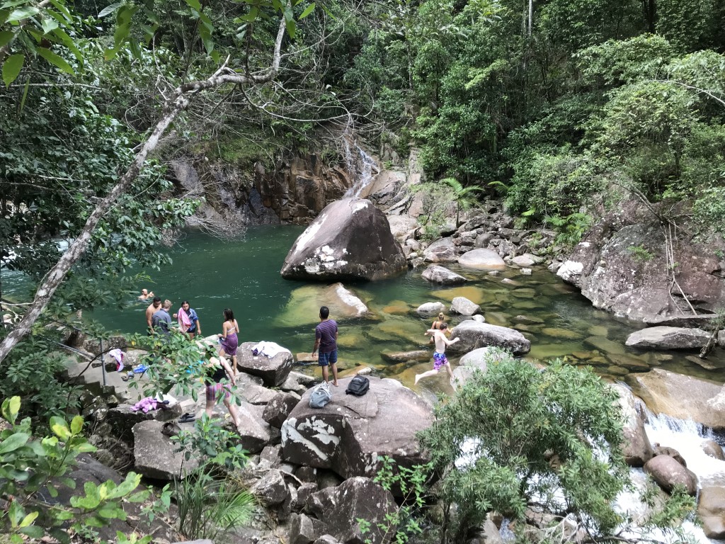 Eungella and Finch Hatton